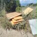 Calamosca trasformata in discarica: “Degrado inaccettabile, il Comune deve intervenire subito”