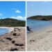 Porto Columbu, il grido d’allarme del Bobo Beach: “Spiaggia sommersa dalla posidonia, così non possiamo lavorare”