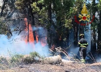 Sud Sardegna, i piromani tornano in azione: fiamme alte ad Elmas Assemini e Villacidro, tempesta di fuoco a Viddalba