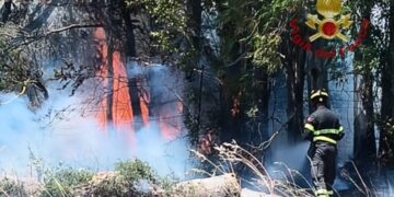 Sud Sardegna, i piromani tornano in azione: fiamme alte ad Elmas Assemini e Villacidro, tempesta di fuoco a Viddalba
