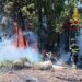 Sud Sardegna, i piromani tornano in azione: fiamme alte ad Elmas Assemini e Villacidro, tempesta di fuoco a Viddalba