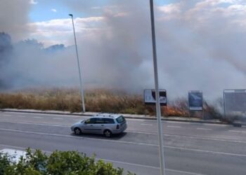 Rieccola, la stagione dei piromani: le fiamme assediano il parco di Molentargius in via della Musica