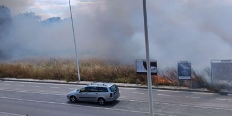 Rieccola, la stagione dei piromani: le fiamme assediano il parco di Molentargius in via della Musica