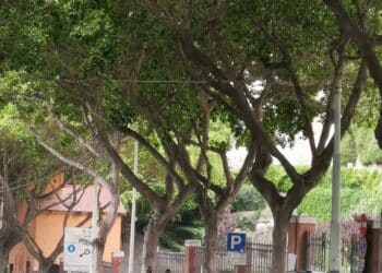 Cagliari, Viale Regina Elena e Terrapieno nel degrado: la denuncia dell’ex consigliera Enrica Anedda Endrich