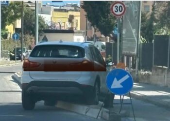 Via Vesalio, auto nella fioriera appena realizzata: duro affondo della consigliera Alessandra Zedda